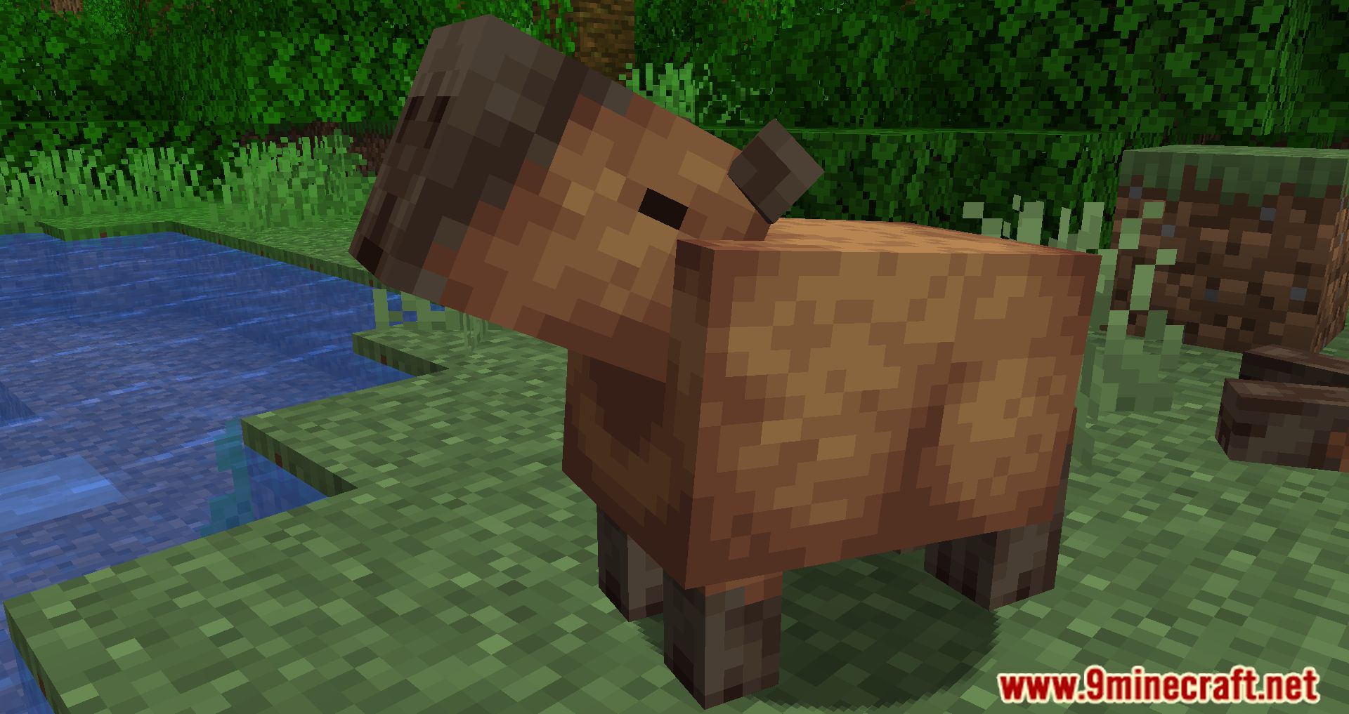 Capybara Mod 1Minecraft