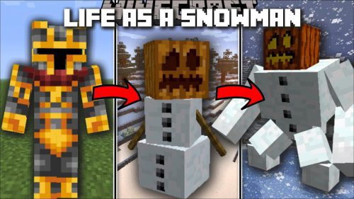 Enhanced Snowman Mod (1.19.4, 1.18.2) – Life as a Snowman Thumbnail