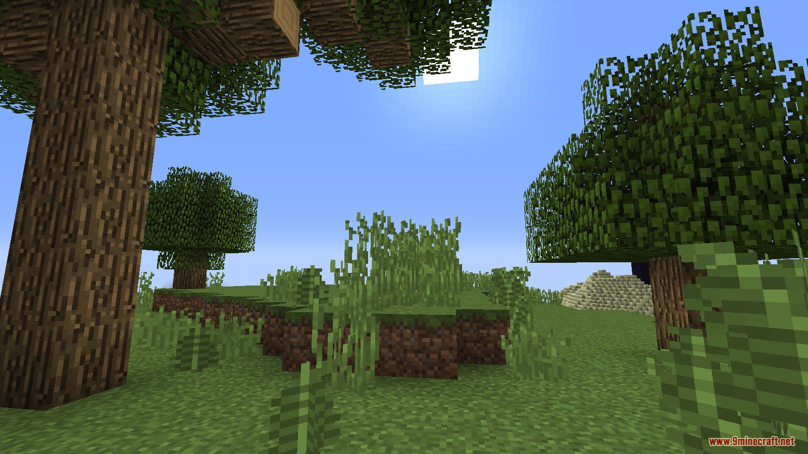 Super Skyblock Land Map 1.13 for Minecraft 3
