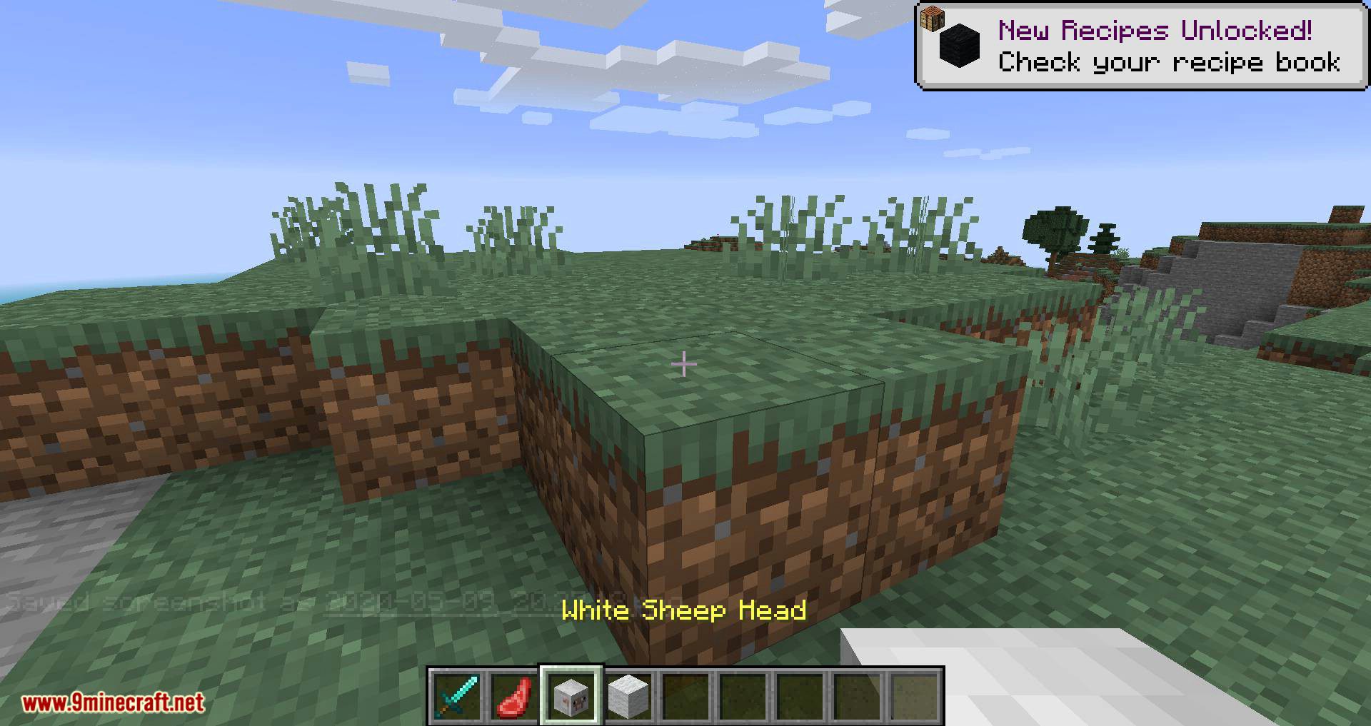 Mob Heads Mod 1Minecraft