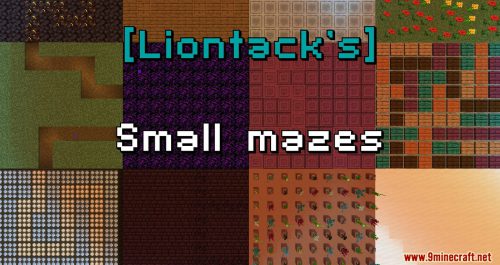[Liontack’s] Small Mazes Map 1.16.3 for Minecraft Thumbnail