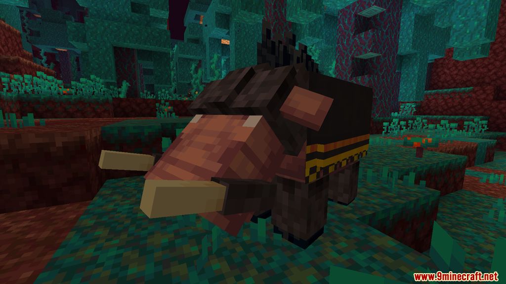 Pyromancer Mod - 1Minecraft