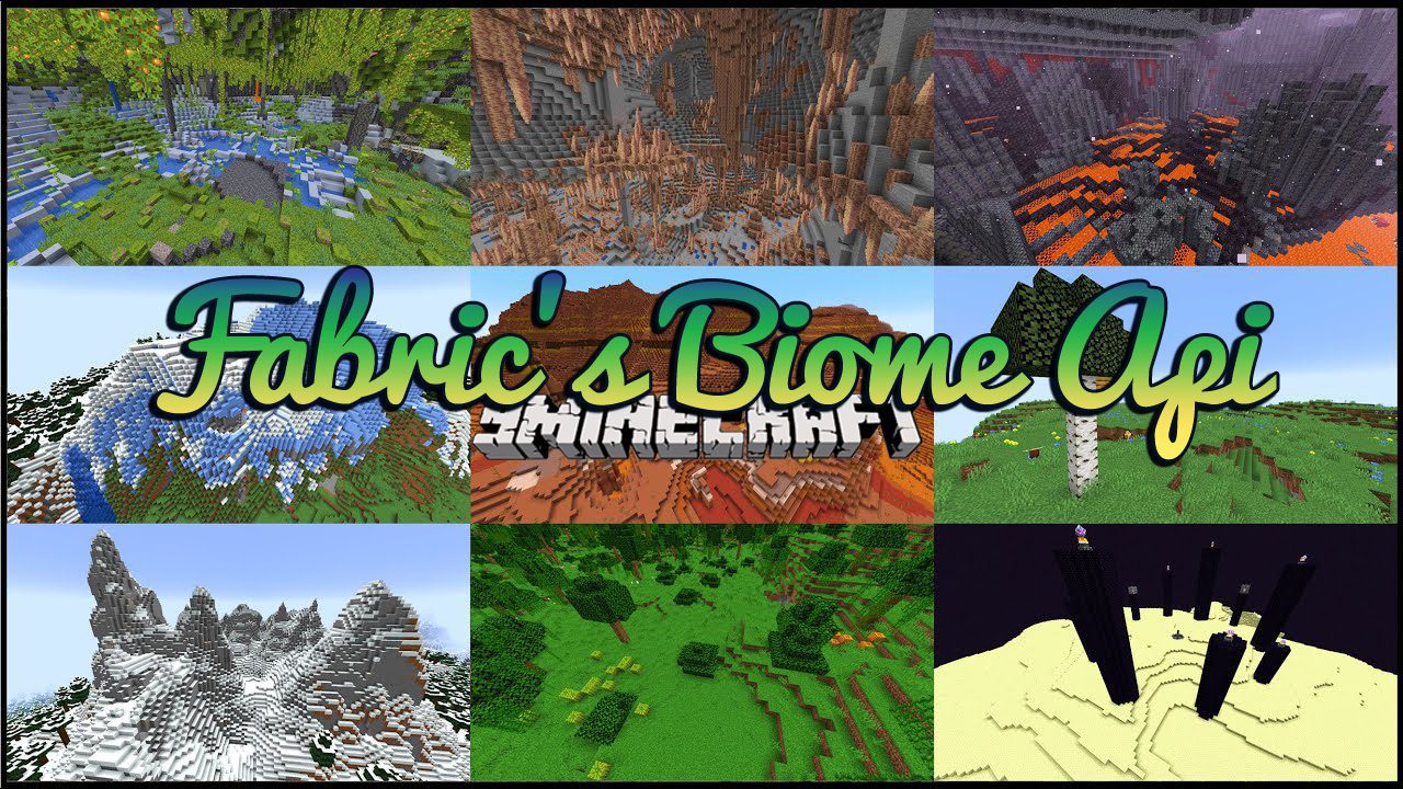 Fabrics Biome Api 1Minecraft