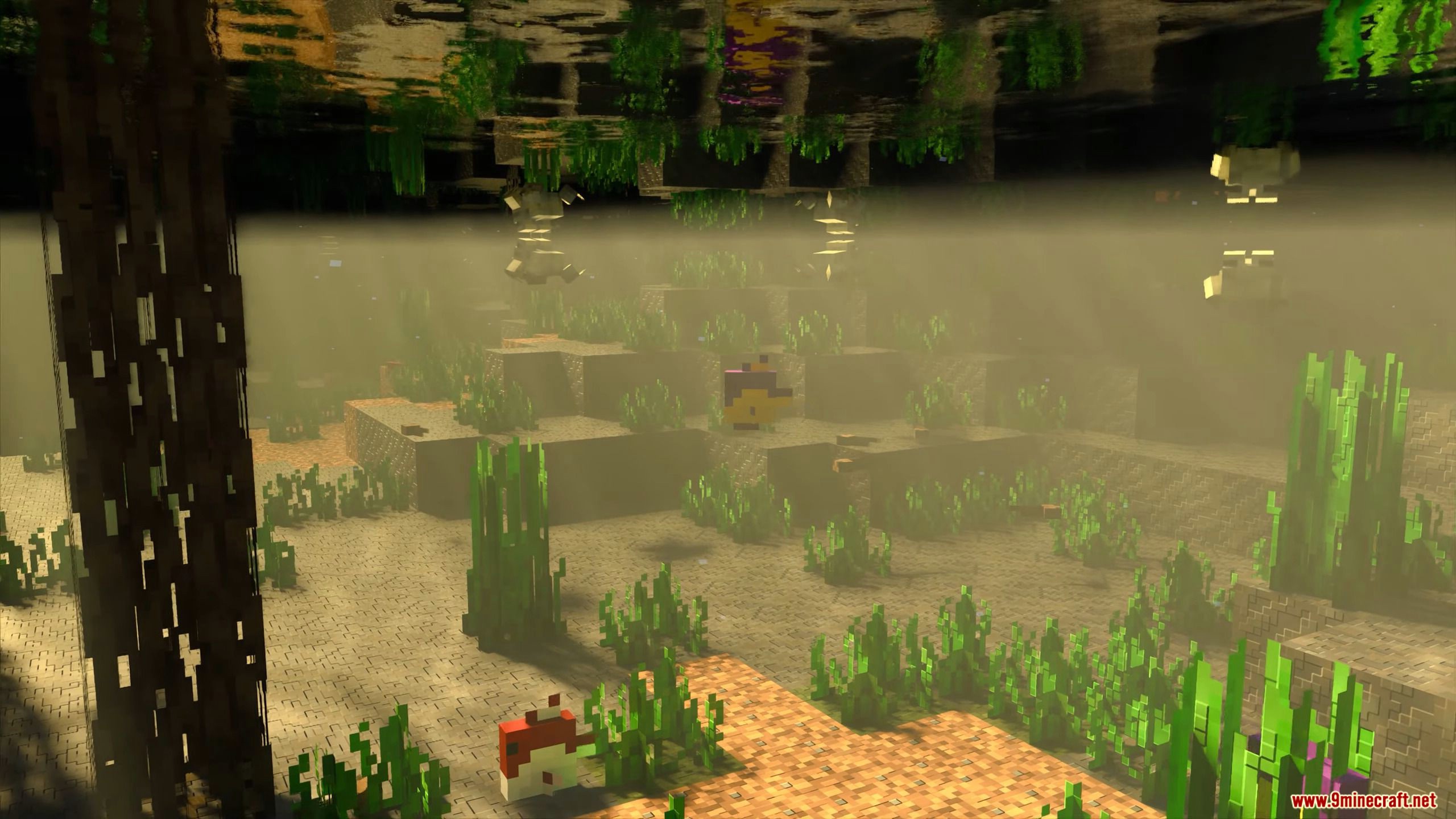 Defined Pbr Shaders Mcpe - 1Minecraft