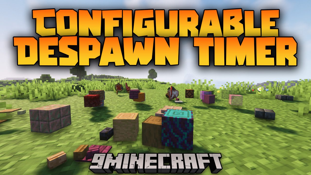 Configurable Despawn Timer Mod 1Minecraft