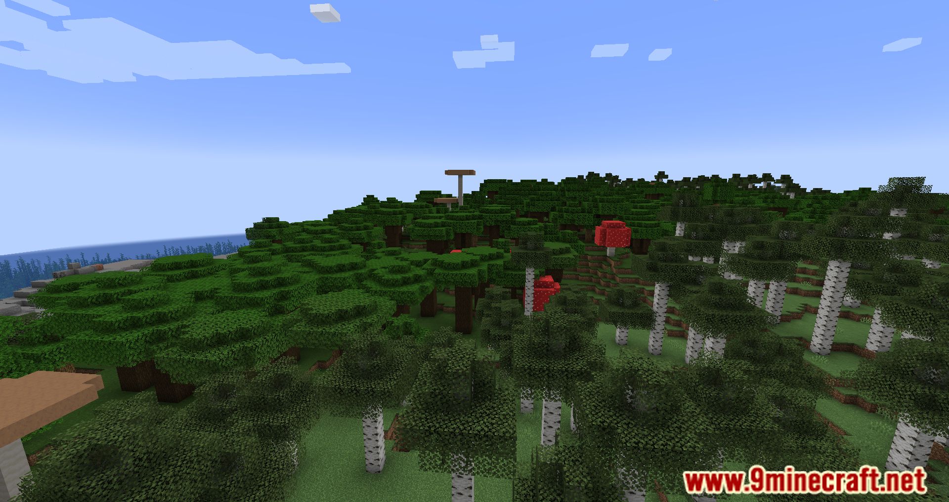 Player animator mod 1minecraft