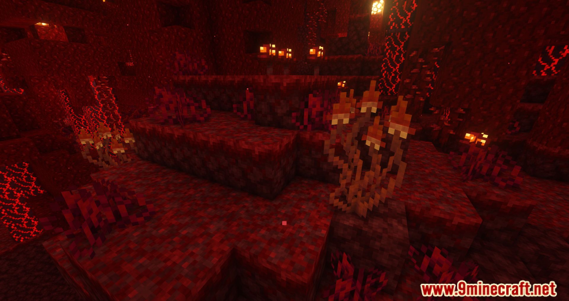 Shret Nether Mod (1.16.5) - Add Content To The Nether 5