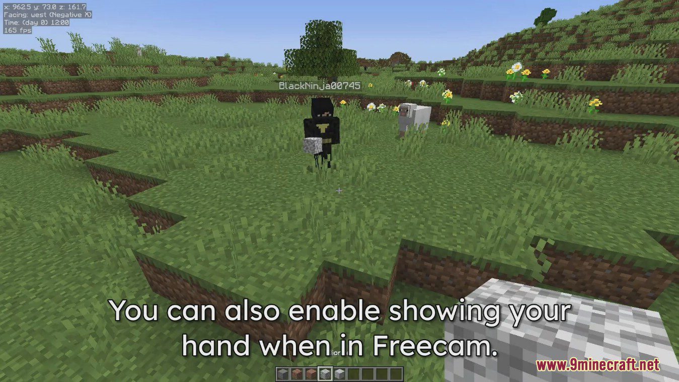 Freecam Mod - 1Minecraft