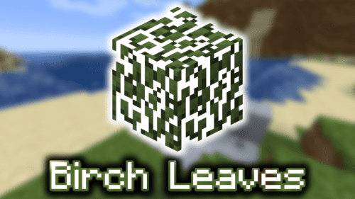 Birch Leaves – Wiki Guide Thumbnail