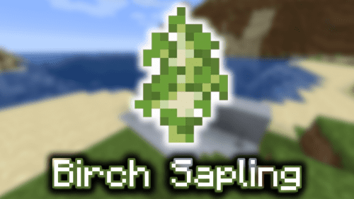 Birch Sapling – Wiki Guide Thumbnail
