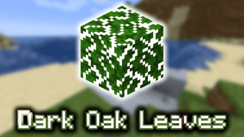 Dark Oak Leaves – Wiki Guide Thumbnail