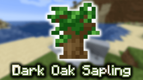 Dark Oak Sapling – Wiki Guide Thumbnail
