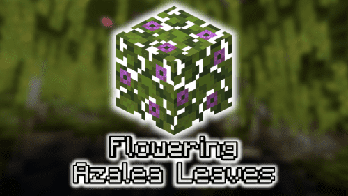 Flowering Azalea Leaves – Wiki Guide Thumbnail