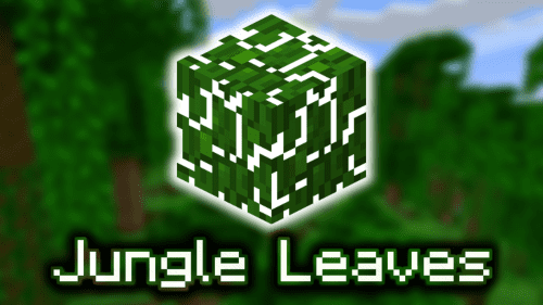 Jungle Leaves – Wiki Guide Thumbnail