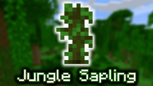 Jungle Saping – Wiki Guide Thumbnail