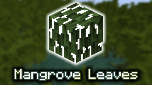 Mangrove Leaves – Wiki Guide Thumbnail