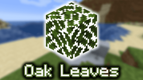 Oak Leaves – Wiki Guide Thumbnail