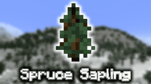 Spruce Sapling – Wiki Guide Thumbnail