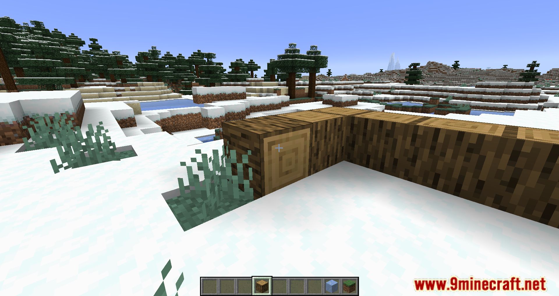 Accurate Block Placement Mod - 1Minecraft