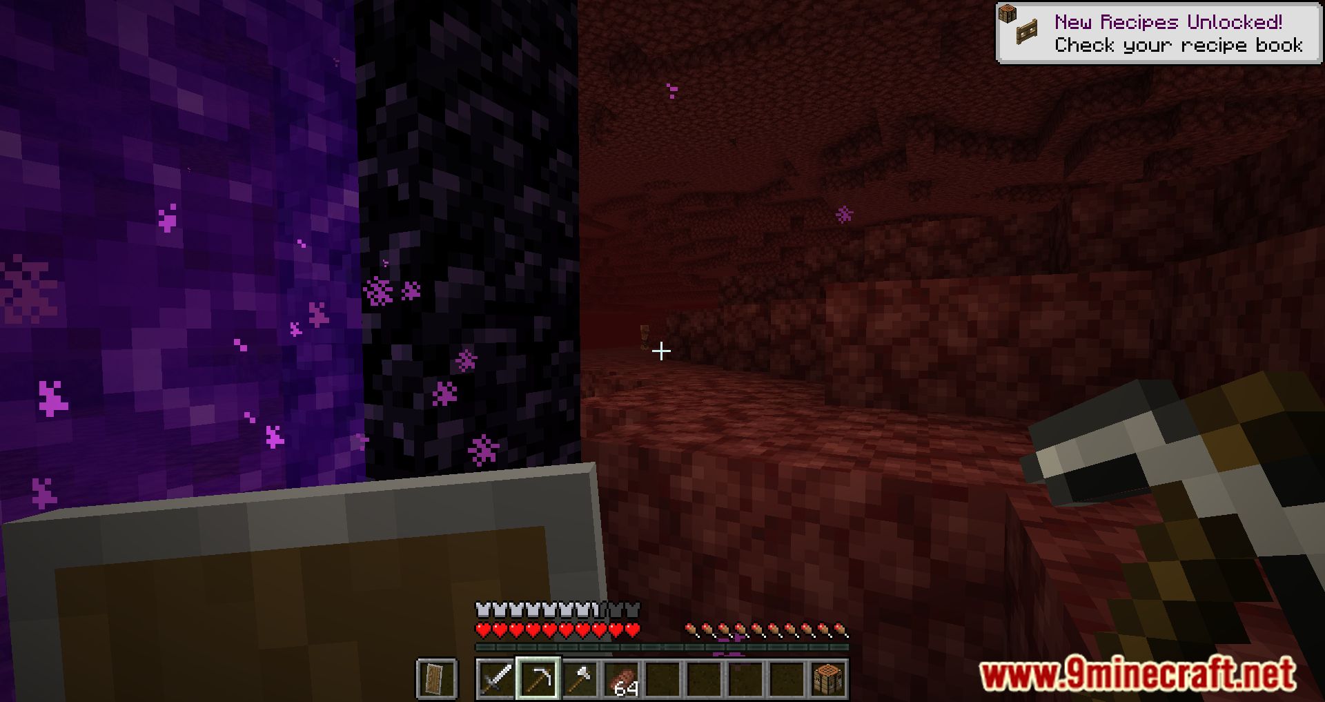 Nether Portal Accessibility Mod (1.19.2, 1.18.2) - Introducing New Features 9