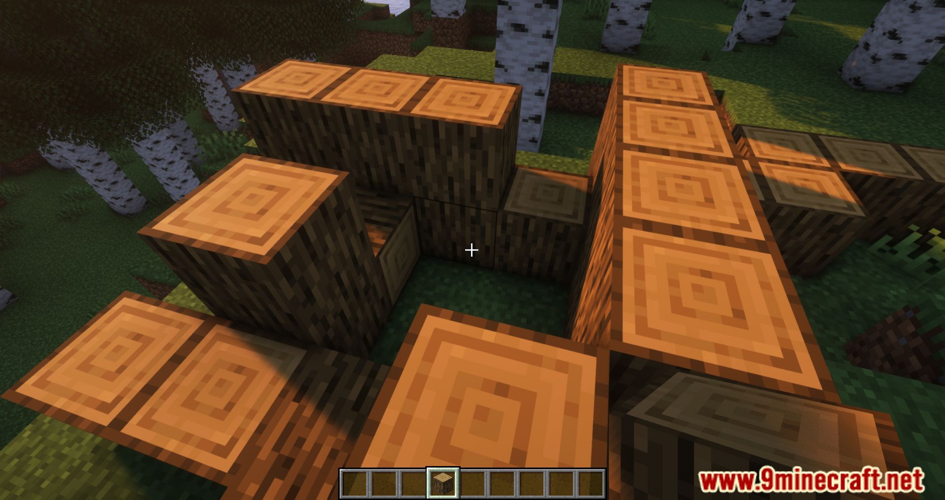 Precise Block Placing Mod - 1Minecraft