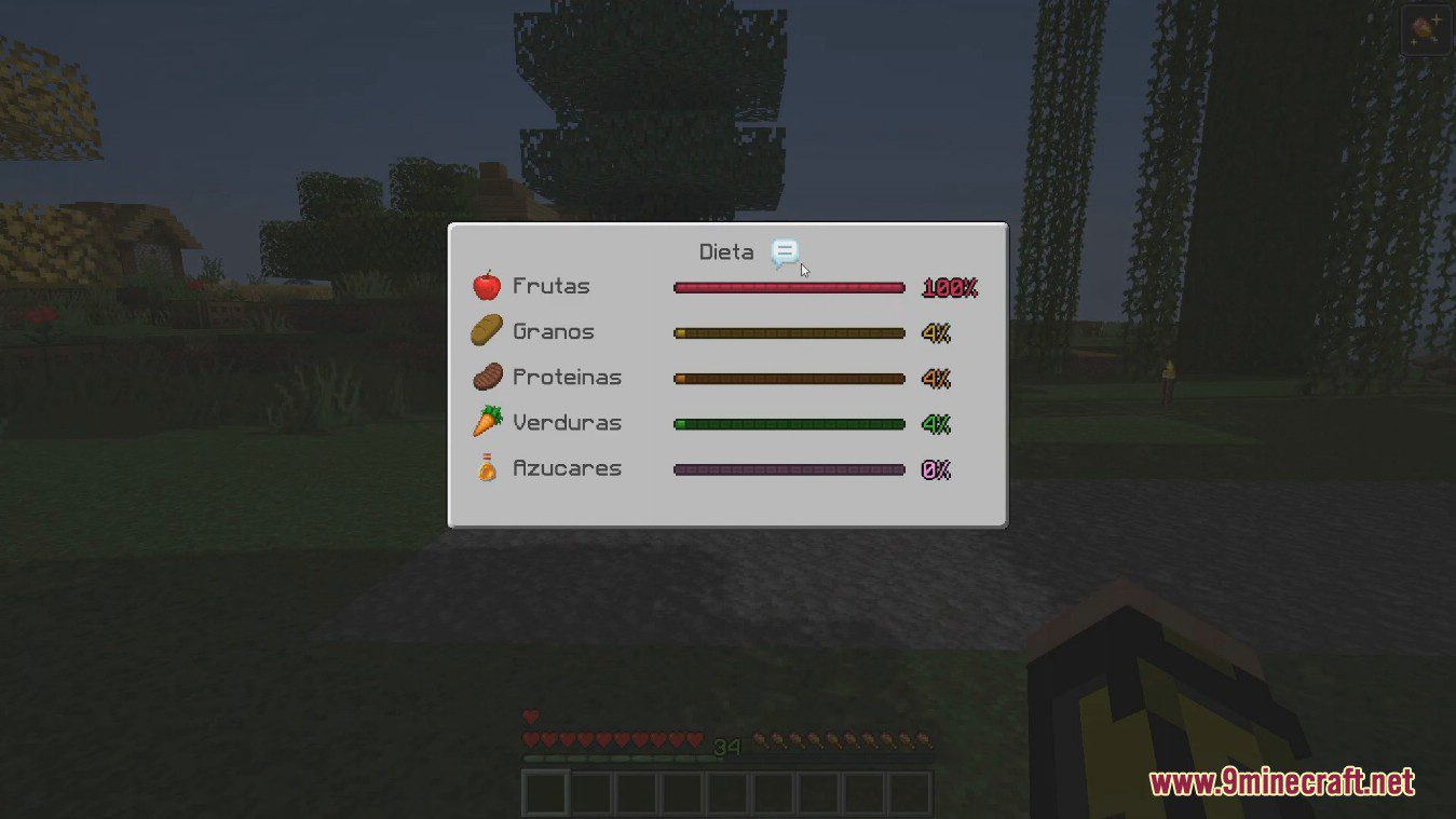 Diet Mod - 1Minecraft