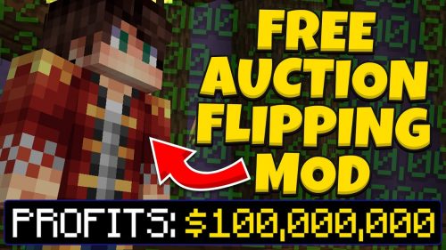 Not Enough Coins Mod (1.8.9) – The Auction Flipping Mod Thumbnail
