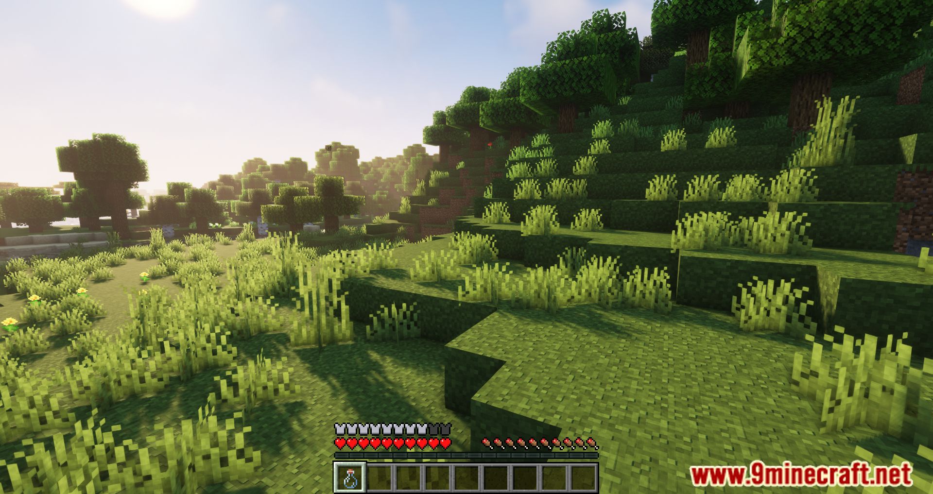 Better Invisibility Mod 1Minecraft