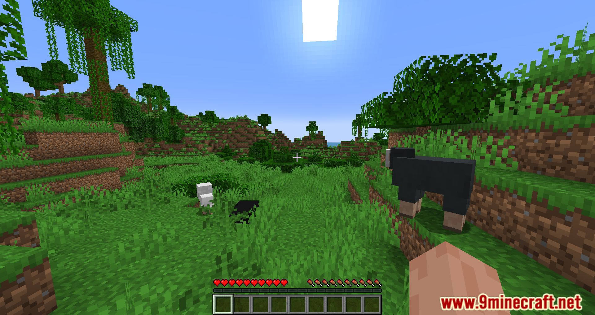 player-health-indicators-mod-1minecraft