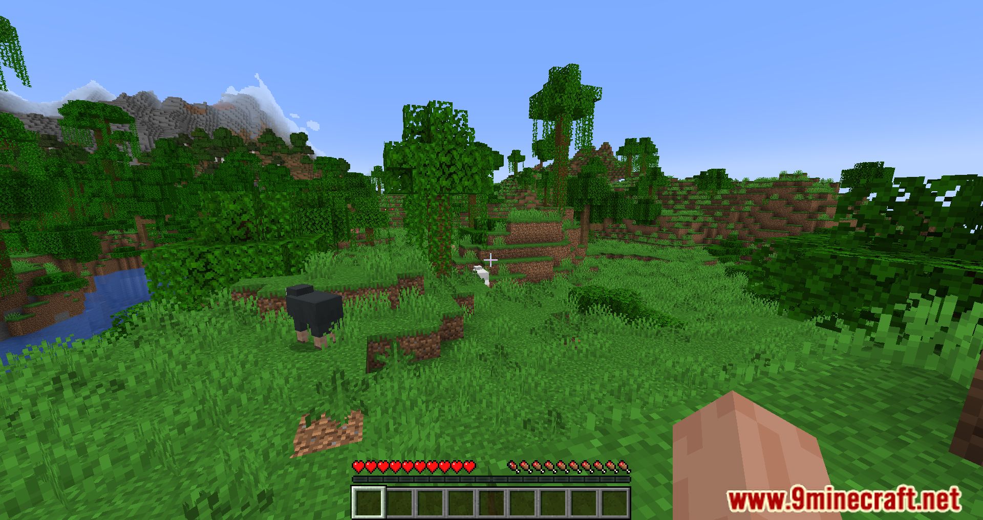 Player Health Indicators Mod 1Minecraft