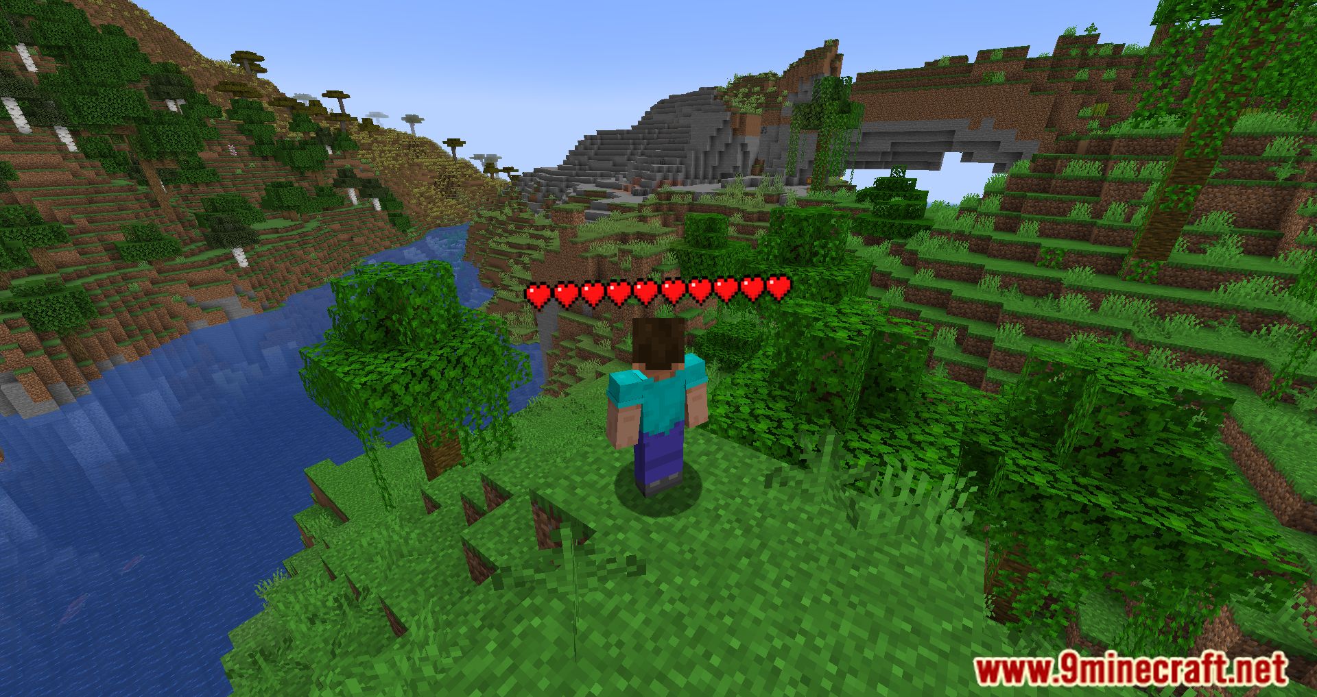 player-health-indicators-mod-1minecraft