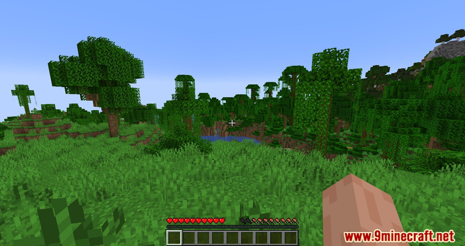 player-health-indicators-mod-1minecraft