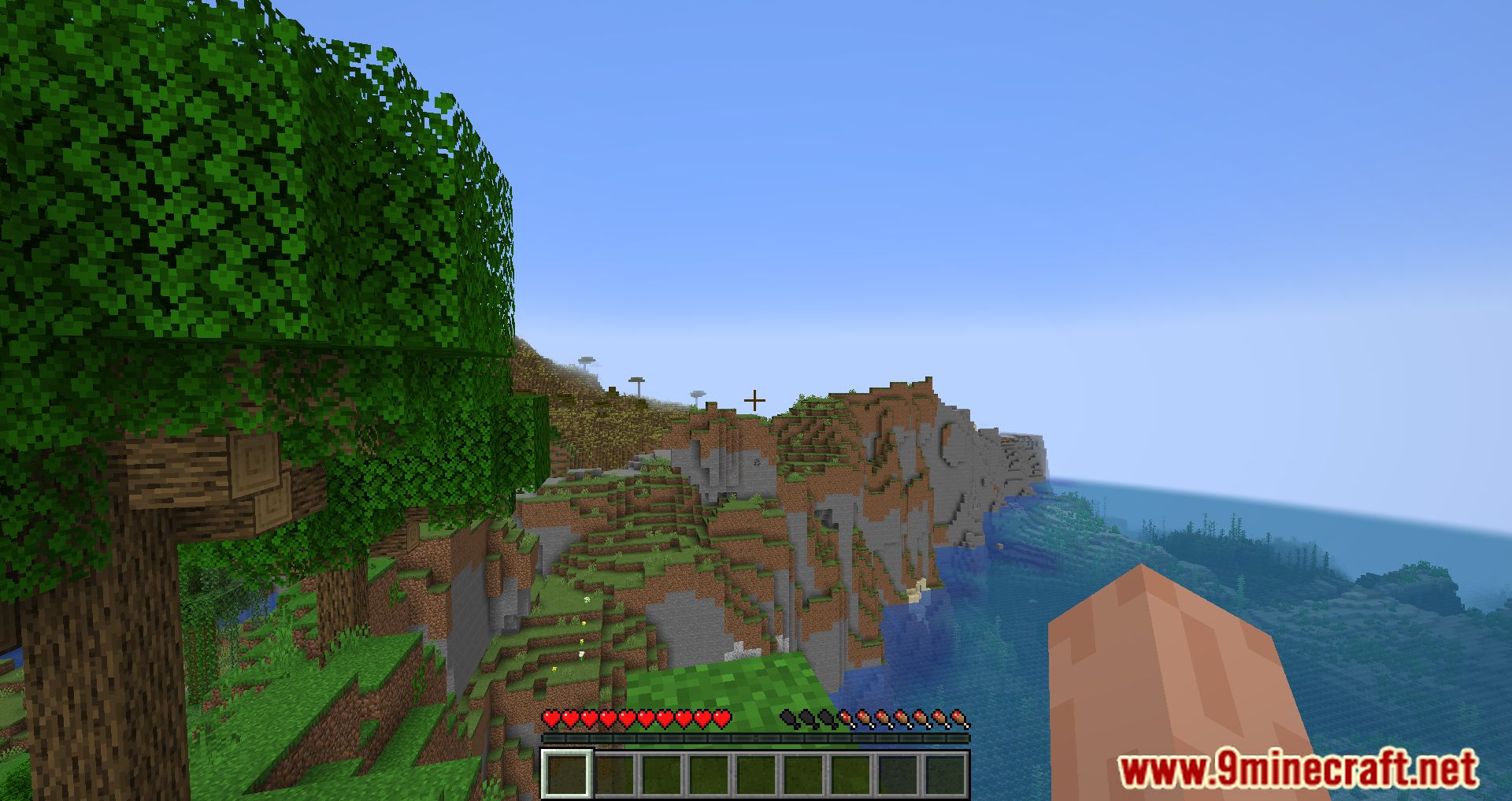 Player Health Indicators Mod 1Minecraft