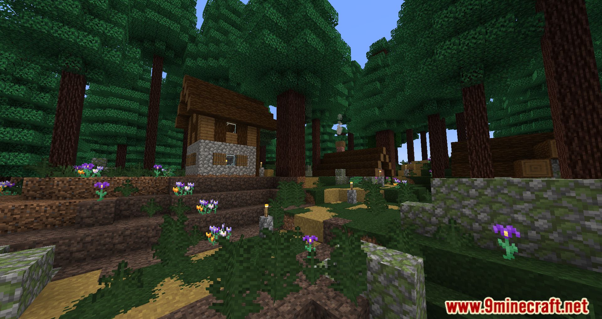 Prominence Modpack - 1Minecraft