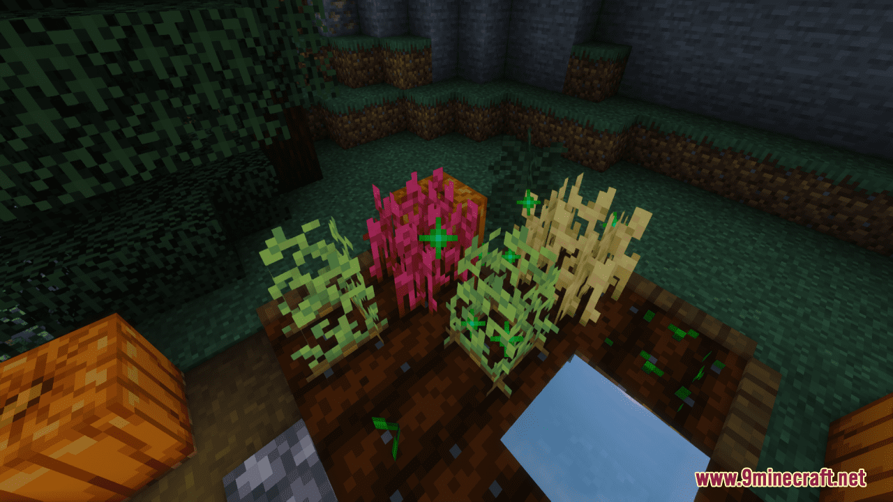Rainbow Crops Resource Pack (1.20.1, 1.19.4) - Texture Pack 6