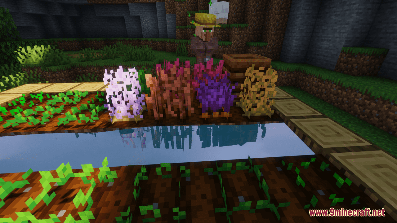 Rainbow Crops Resource Pack (1.20.1, 1.19.4) - Texture Pack 8