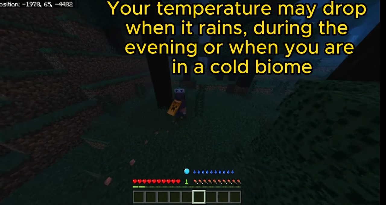 Thirsty and Temperature Bar Addon (1.20, 1.19) - MCPE/Bedrock 2