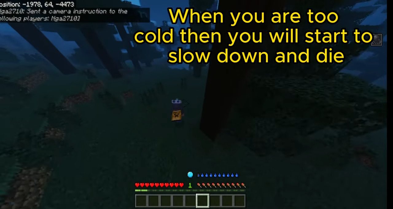Thirsty and Temperature Bar Addon (1.20, 1.19) - MCPE/Bedrock 3
