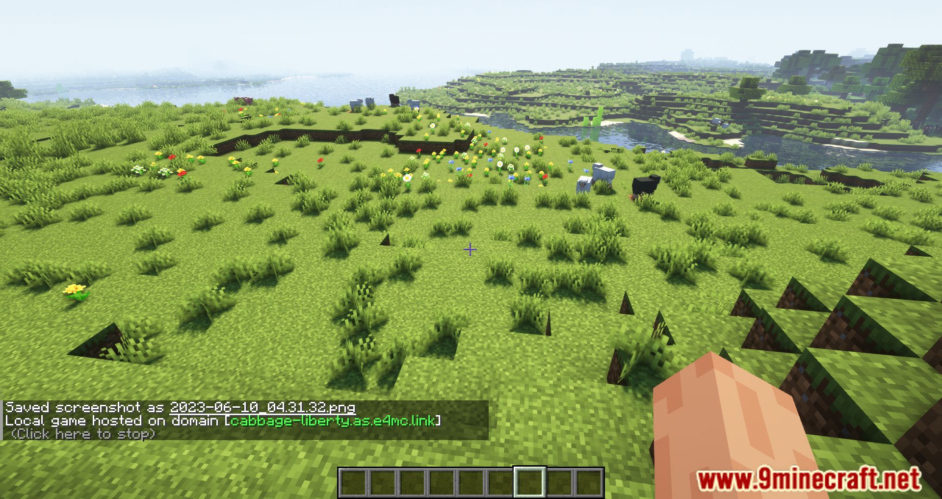 E4mc Mod - 1Minecraft
